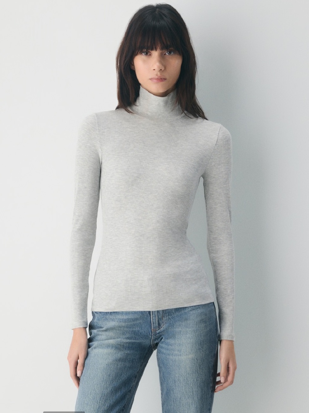 Aritzia Wilfred Light Grey Only Turtleneck Mockneck Top Size Extra Small